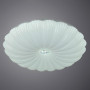 Потолочная люстра Biscotti A2675PL-72WH