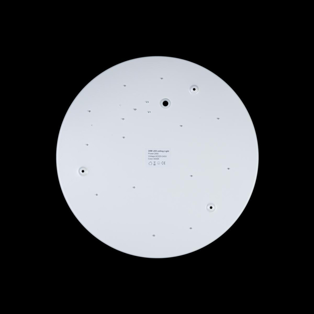 Потолочный светильник Axel 10003/24 White