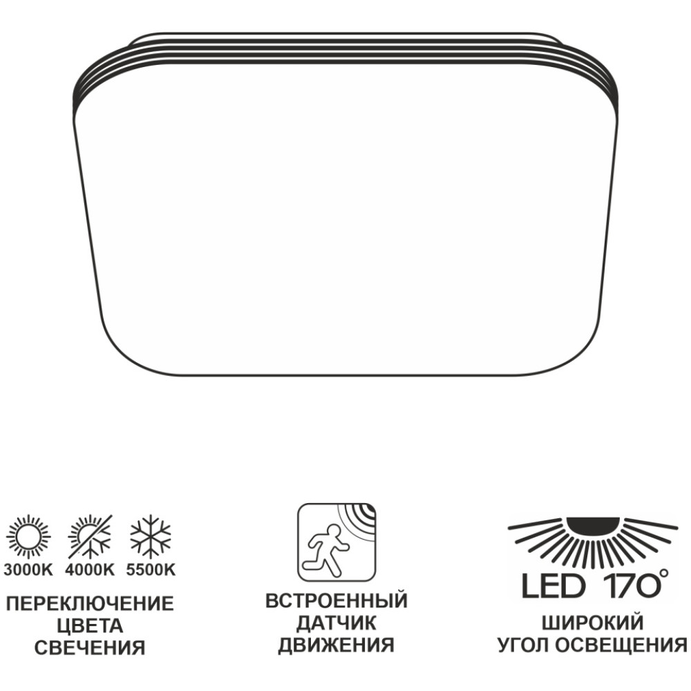 Потолочный светильник Симпла CL714K24SV